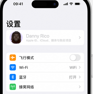 梨林镇appleID维修服务iPhone设置中Apple ID显示为灰色无法使用 