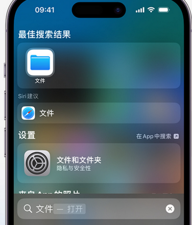 梨林镇apple维修中心分享iPhone文件应用中存储和找到下载文件