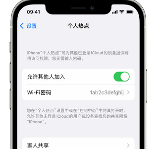 梨林镇apple服务站点分享iPhone上个人热点丢失了怎么办