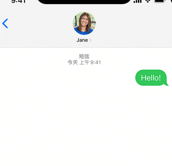 梨林镇apple维修iPhone上无法正常发送iMessage信息