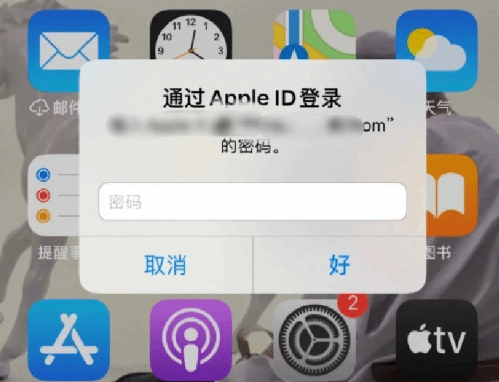 梨林镇苹果设备维修分享无故多次要求输入AppleID密码怎么办 