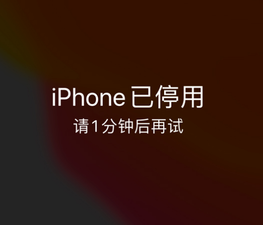 梨林镇苹果手机维修分享:iPhone 显示“不可用”或“已停用”怎么办？还能保留数据吗？ 