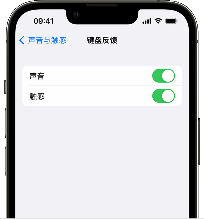 梨林镇苹果14维修店分享如何在 iPhone 14 机型中使用触感键盘 