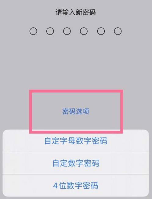 梨林镇苹果14维修分享iPhone 14plus设置密码的方法 