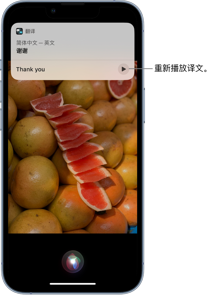 梨林镇苹果14维修分享 iPhone 14 机型中使用 Siri：了解 Siri 能帮你做什么 