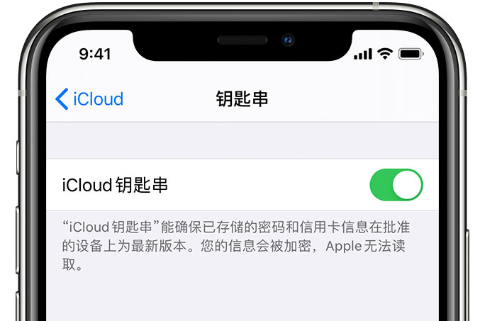 梨林镇苹果手机维修分享在 iPhone 上开启 iCloud 钥匙串之后会储存哪些信息 