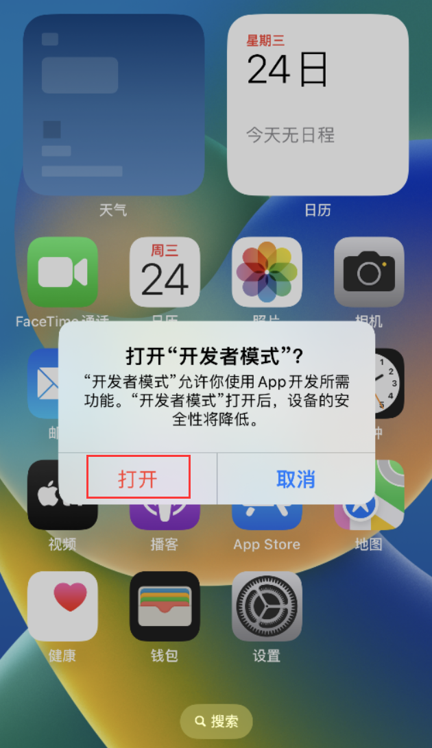 梨林镇苹果手机维修分享如何打开开发者模式 