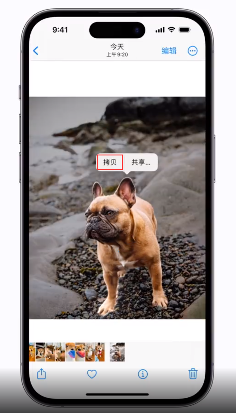 梨林镇 苹果手机维修分享iOS 16 “照片”应用更新内容与改进汇总 