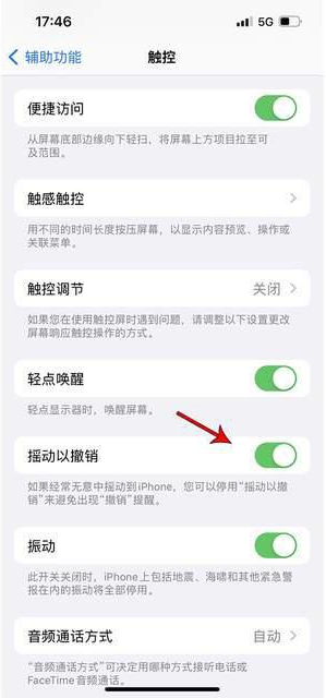 梨林镇苹果手机维修分享iPhone手机如何设置摇一摇删除文字 