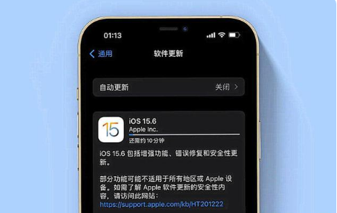 梨林镇苹果手机维修分享iOS 15.6续航怎么样 