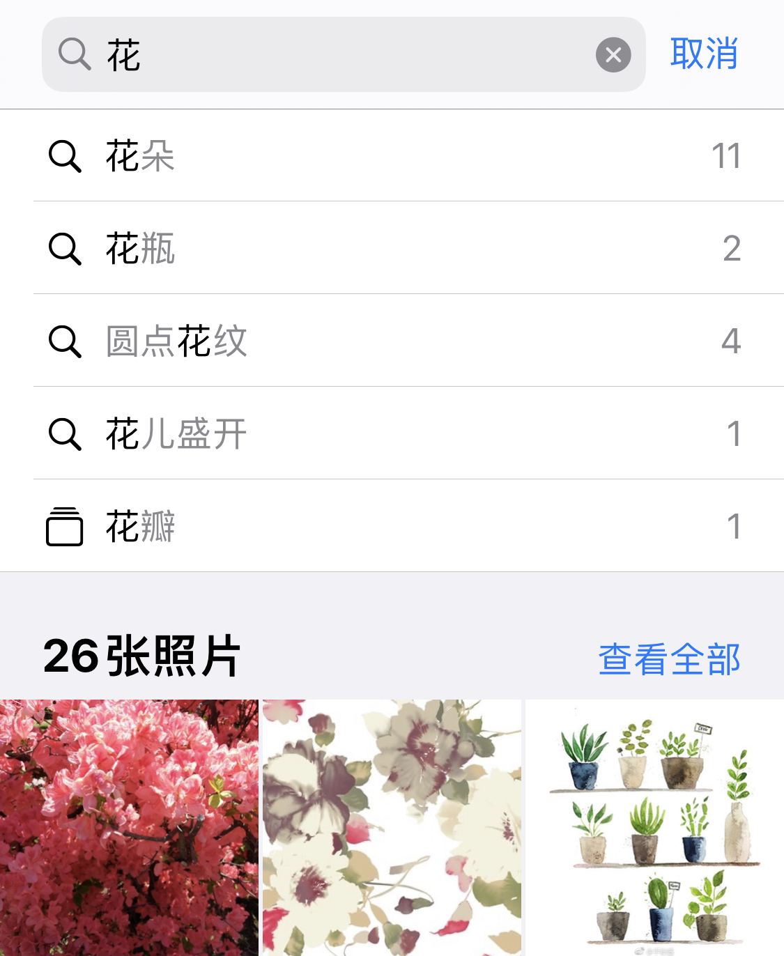 梨林镇苹果手机维修分享iPhone 小技巧 
