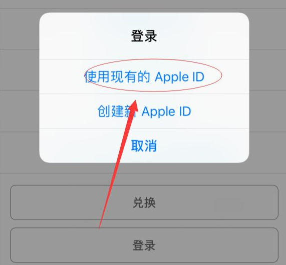 梨林镇苹果手机维修分享两台iPhone设备可以同时登录一个Apple ID吗 