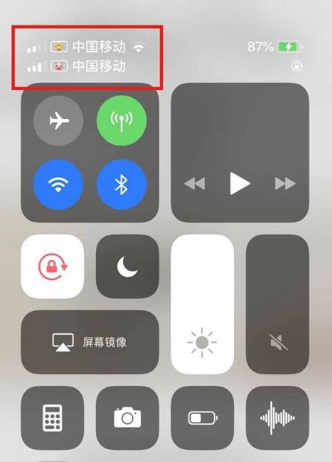 梨林镇苹果手机维修分享为 iPhone 12 双卡设置标签 