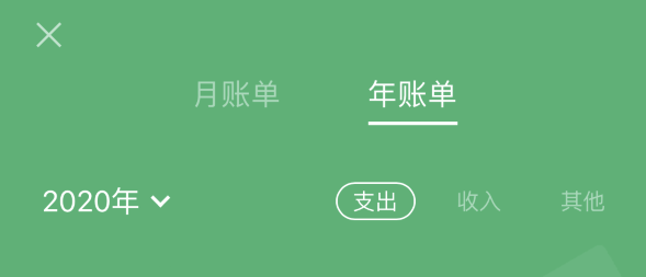 梨林镇苹果手机维修分享如何在 iPhone 上查看支付宝和微信年支出账单 
