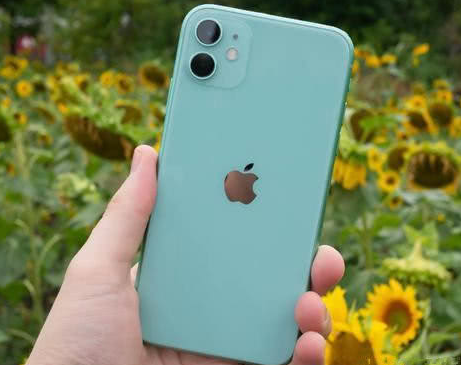 梨林镇苹果维修点分享iPhone 11锁屏密码认知与使用科普 